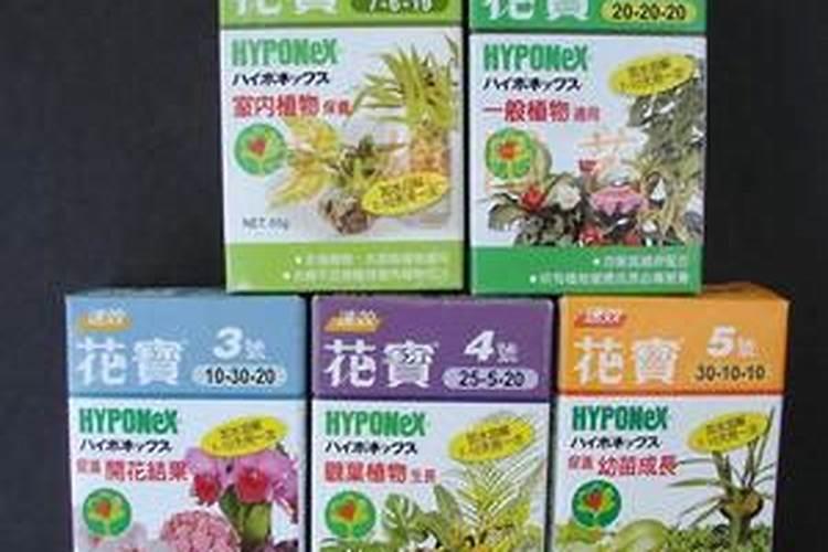 哪个懂金边吊兰什么时间施肥？有什么值得注意的