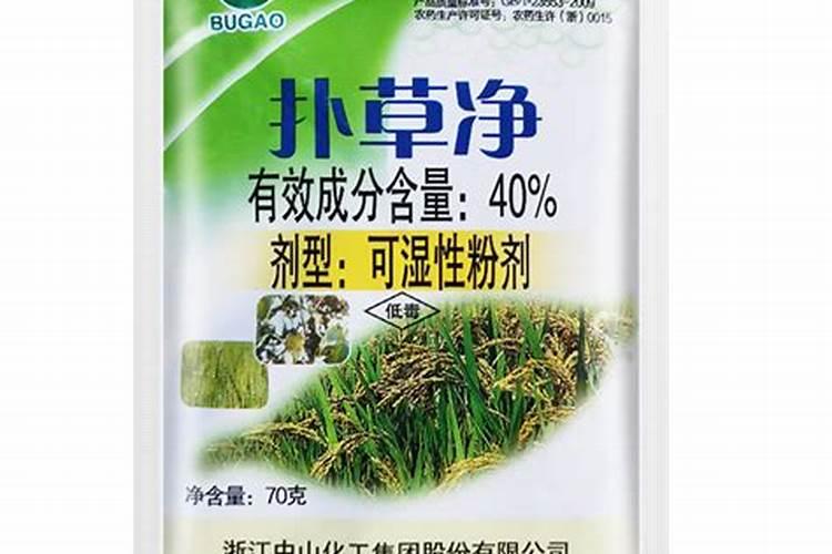 萝卜田苗后除草剂有那些？(萝卜已经出苗了)