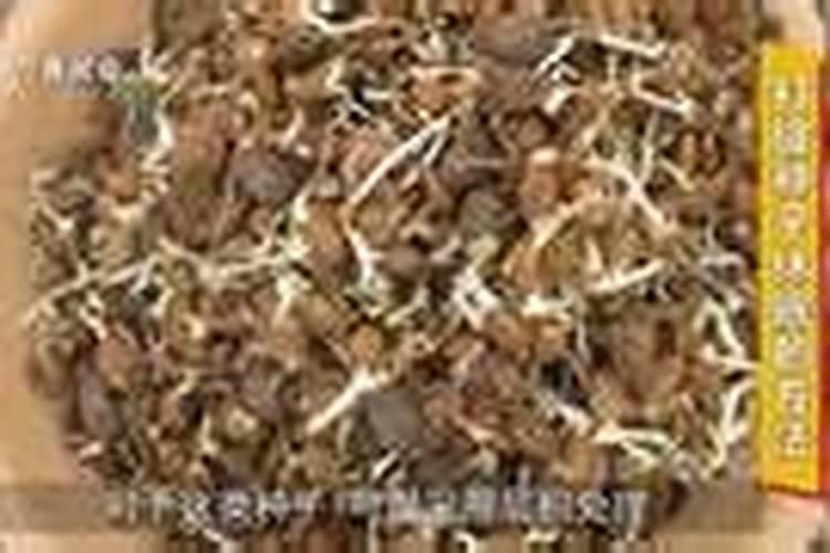 冲施水溶肥几天见效