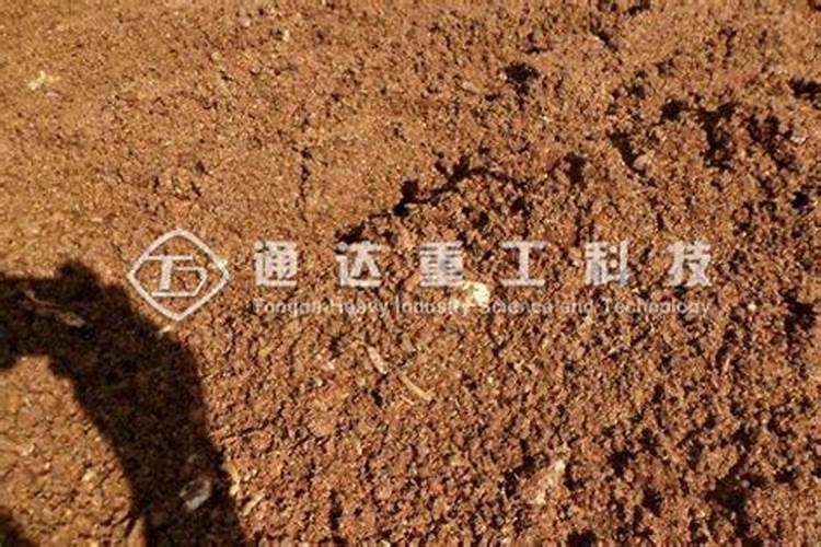玉米做有机肥的方法 怎么用玉米做有机肥