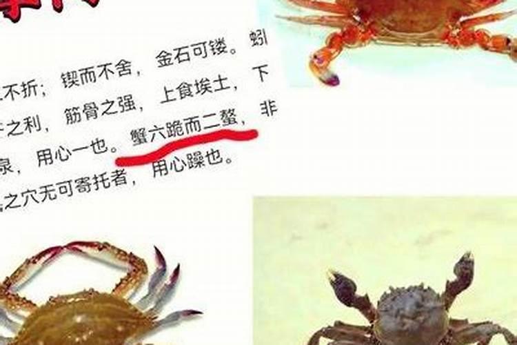 草莓只开花不结果是什么原因