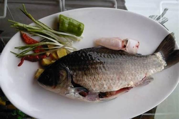 多肉植物能浇鱼蛋白肥料吗？