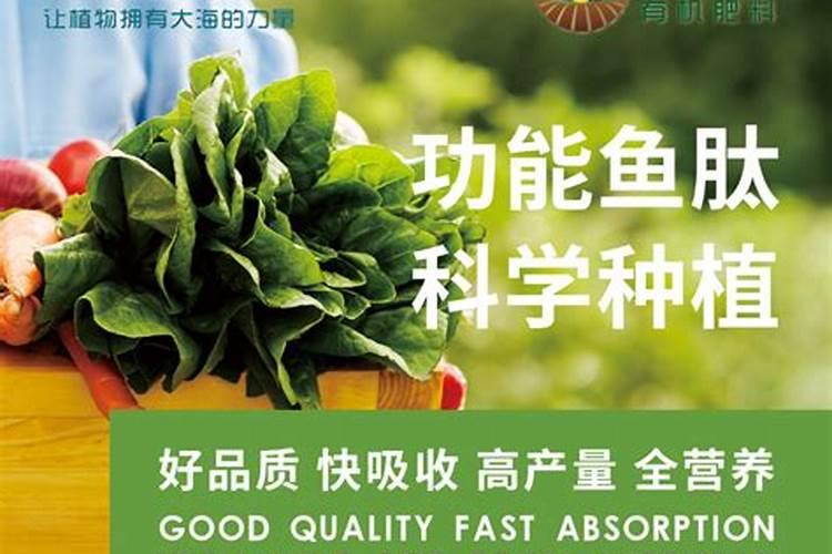 甜瓜膨果增甜用什么药？甜瓜坐果增甜期施肥管理如何做