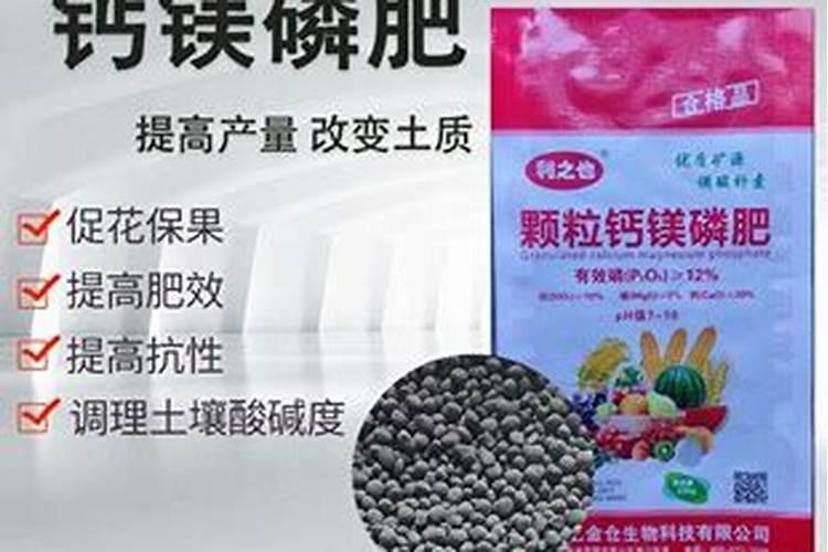 青梅怎么施肥