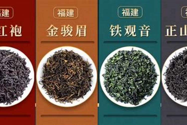绿航绿萝怎么养？有谁知道这个品种的