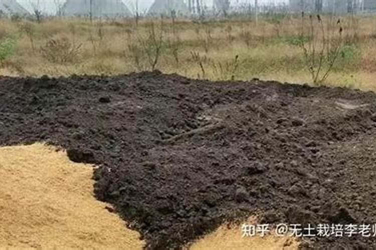 味精有机肥烧苗