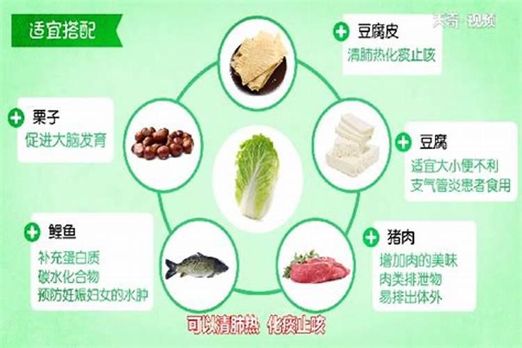 种大白菜用啥肥最好