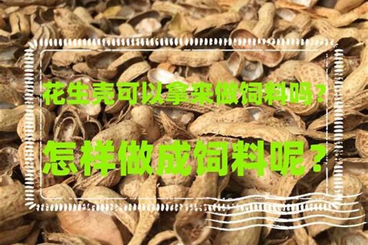 花生壳可以作为君子兰的肥料吗