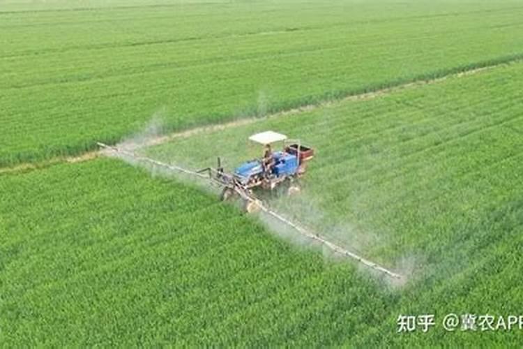 黄腐酸钾肥料的功效与作用