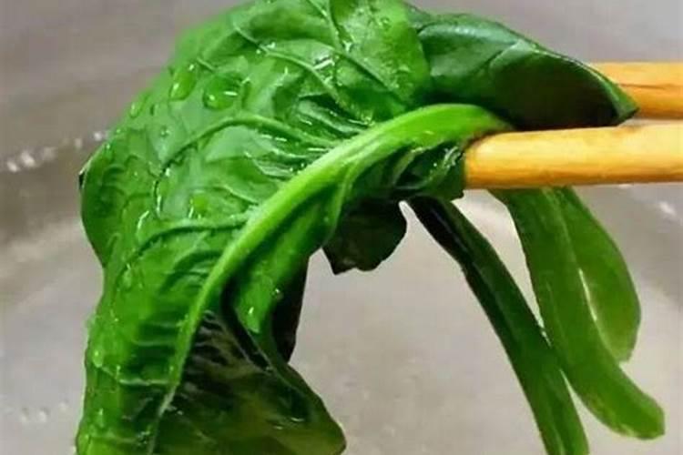 蔬菜为什么喜欢钾肥