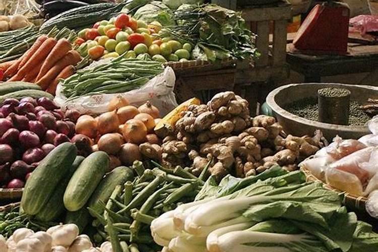 蔬菜浇什么肥料最好