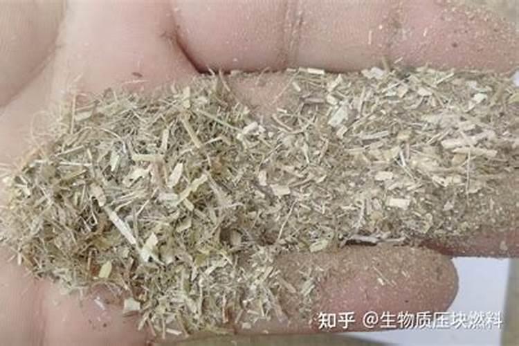 花生喷施硼肥的最佳时间