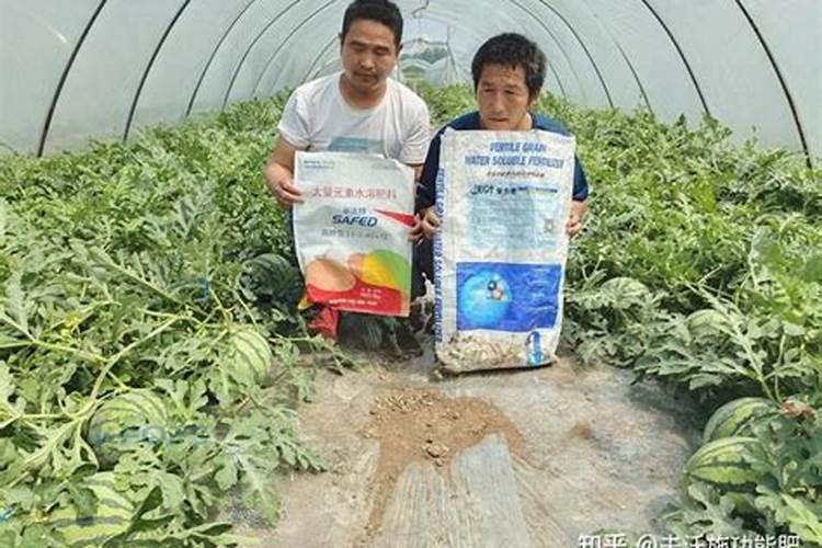 种一亩玉米的一年要种子多少斤？化肥多少斤？农药多少斤？
