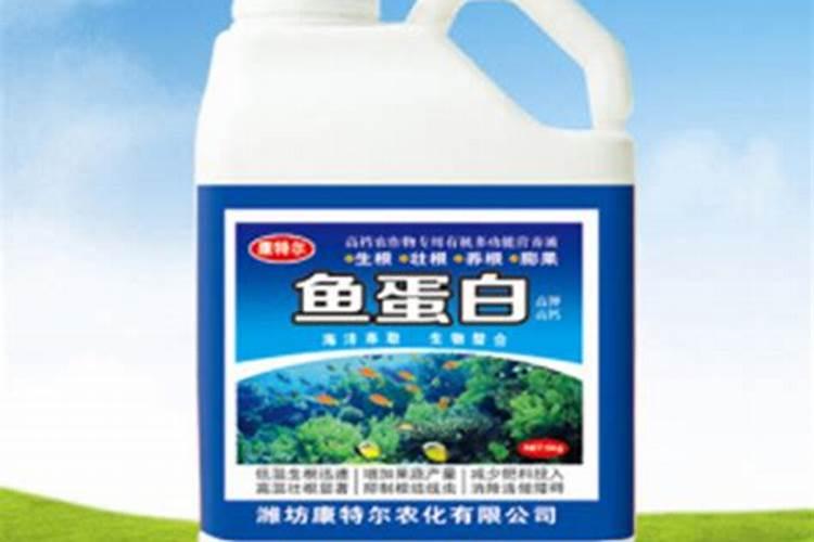 鱼蛋白肥料的使用技巧