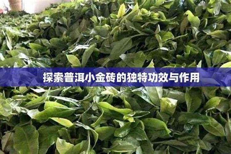 馥郁满铺小金砖精华油,黄脸瞬间亮成打光板,非重要场合不用…