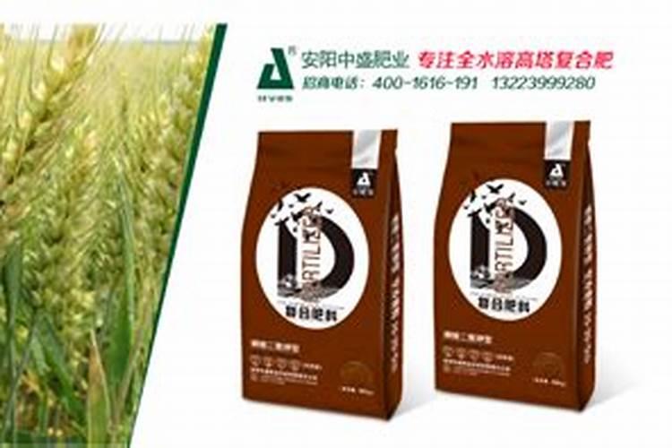 小麦返青能用水溶肥吗,水溶肥施用技巧
