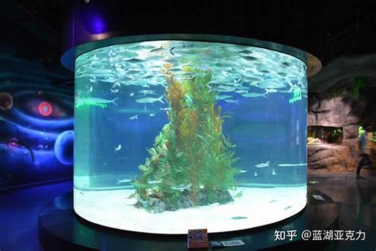 为什么水培的水用冷开水好