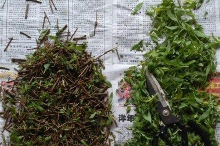 生根剂的做法与配方