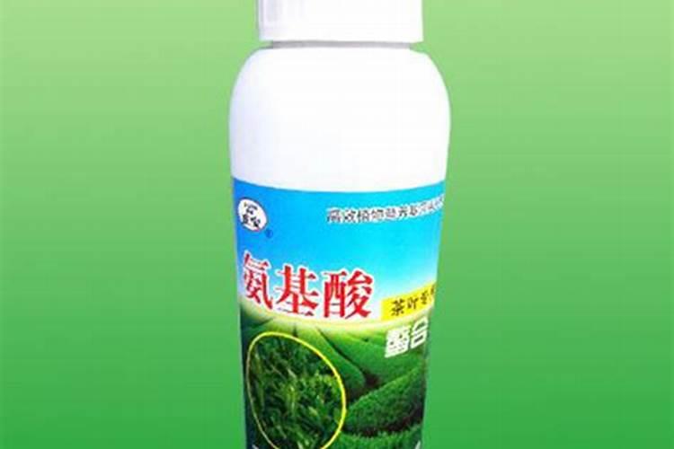 唐张旭草书《李青莲序》碑在什么地方
