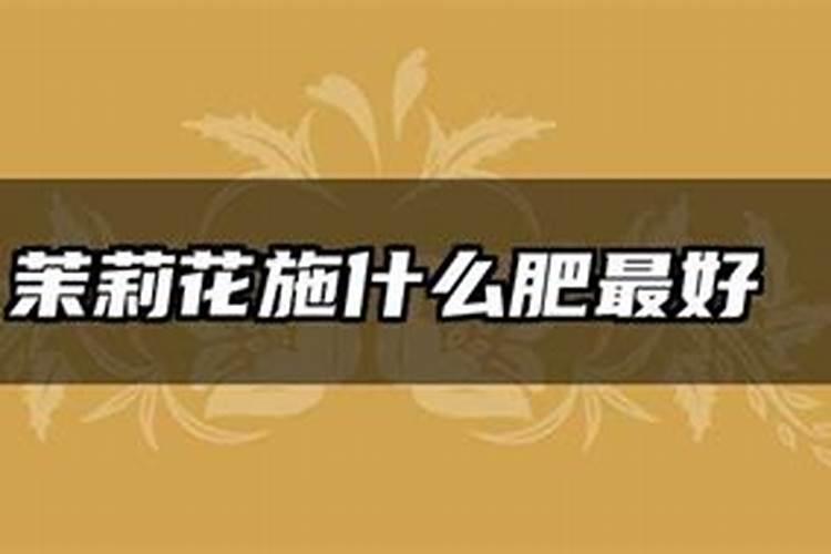 茉莉花施什么肥最好