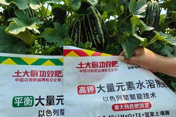 甜瓜授粉15天后冲平衡肥还是高钾肥好？