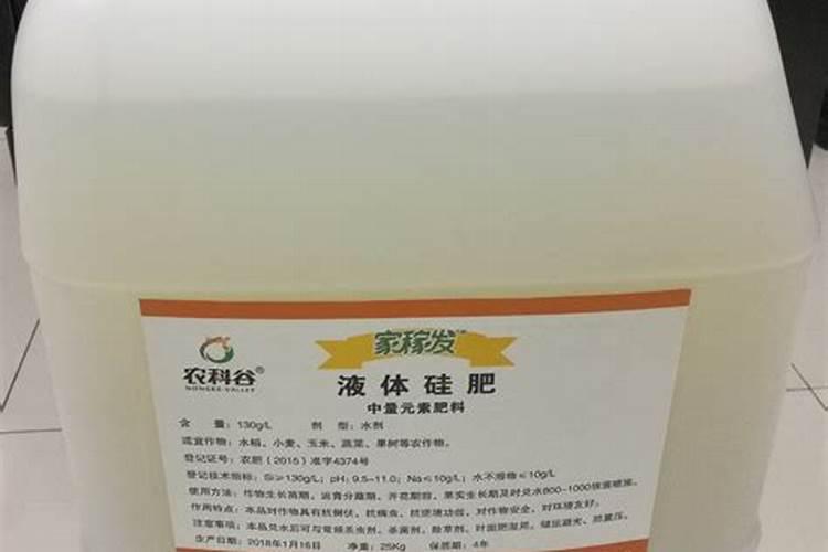水稻缺硅要怎样救治？