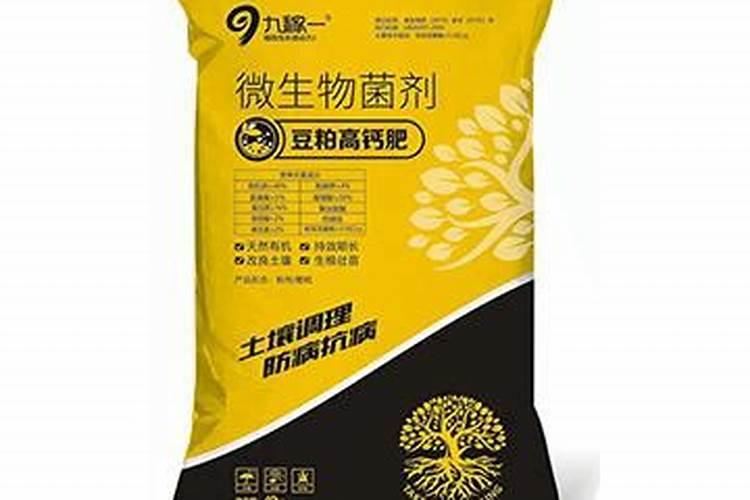 钙肥哪个好