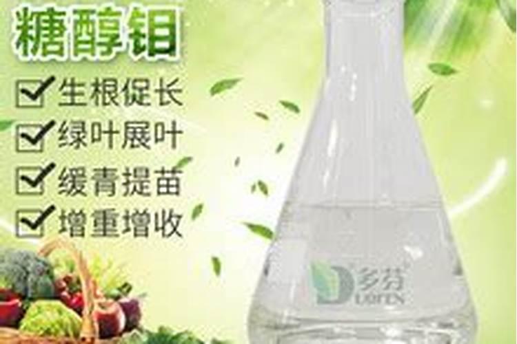 国内比较好水溶肥厂家有哪些