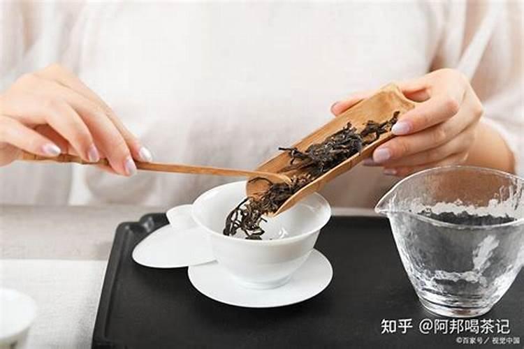 茶叶施磷肥选什么肥 茶叶施磷肥选哪种肥