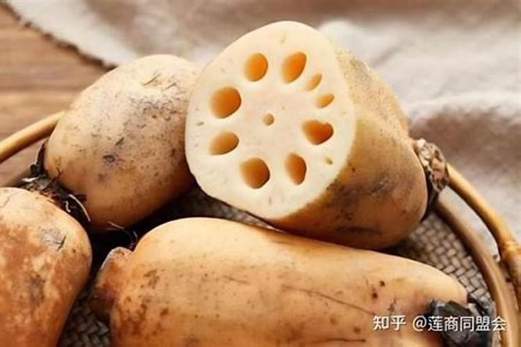 莲藕种植什么时候施入硼肥？