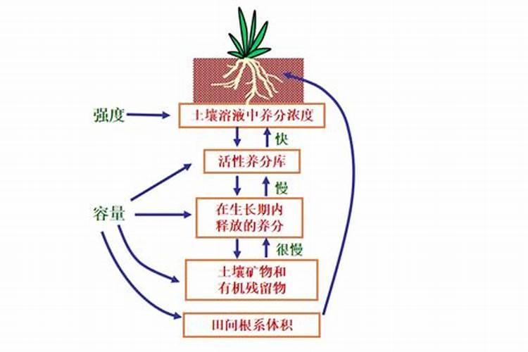 高硫氮肥比碳氮肥好吗