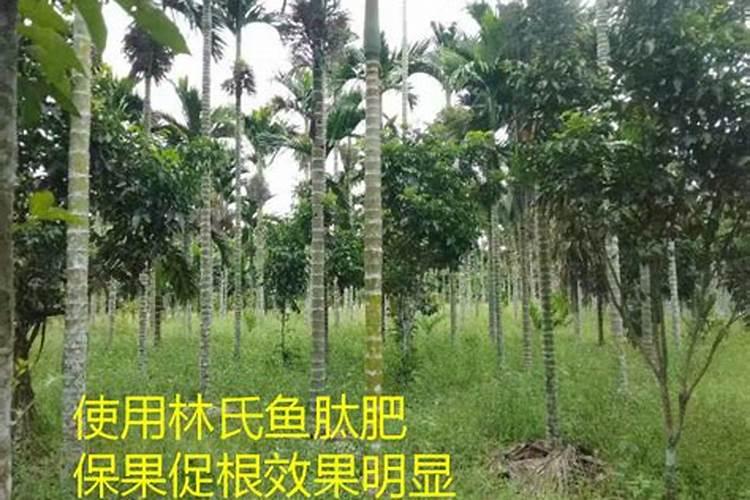如何用豆渣养鱼