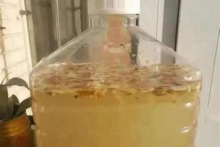 种植玉米一般施肥用什么化肥 玉米施肥注意事项