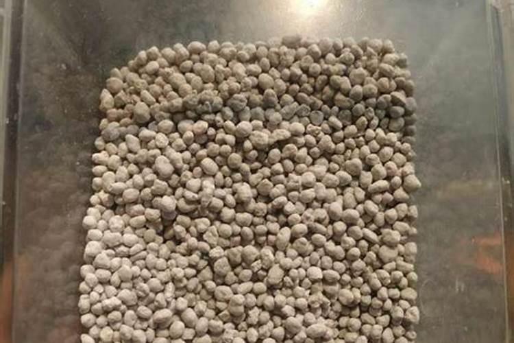 让树木快速生长的肥料