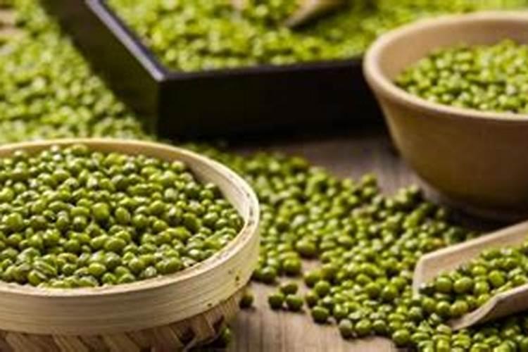 绿豆生虫不吃了,能做肥料吗？