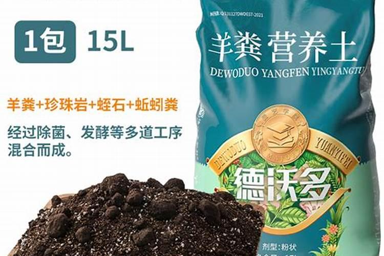 养花用什么肥料最好养活呢;养花的氮肥有哪些