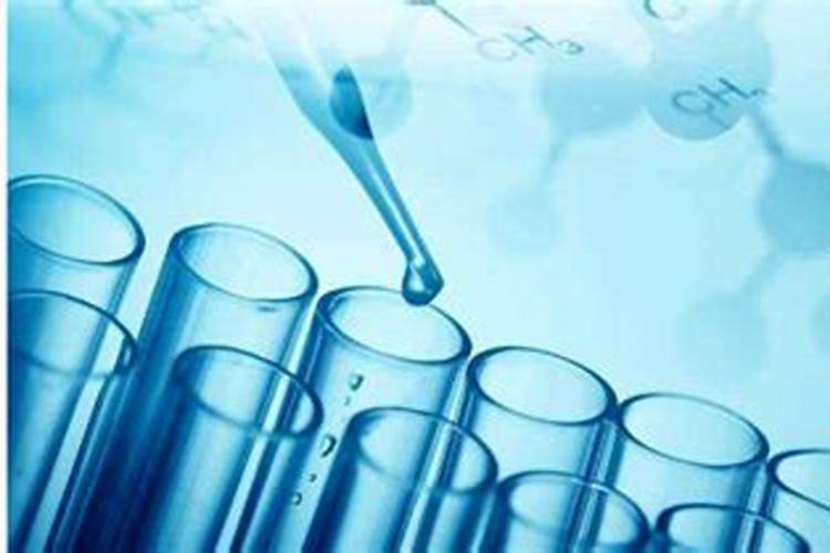 成都施普诺生物技术有限公司怎么样？