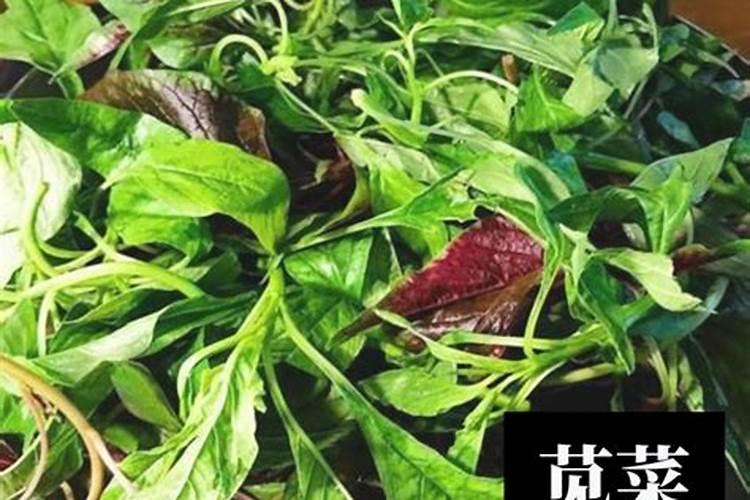 含钾高的食物有哪些百度百科