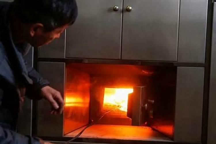 燃烧过塑料的土地还能种菜吗