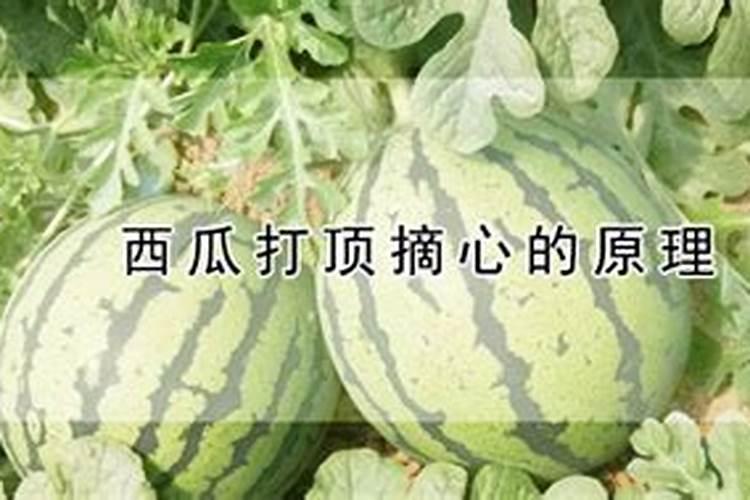 夏季防暑降温应注意什么？