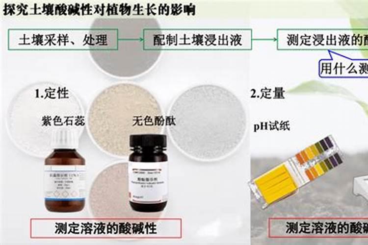 氮肥有哪些哪种最好