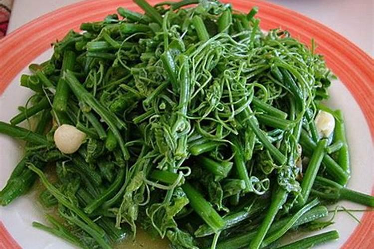 龙须菜用什么肥料最好