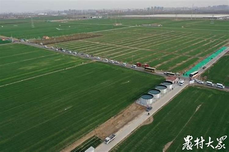 天煜·信园怎么样？好不好？值不值得买？