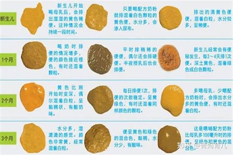 什么东西含氮肥最多