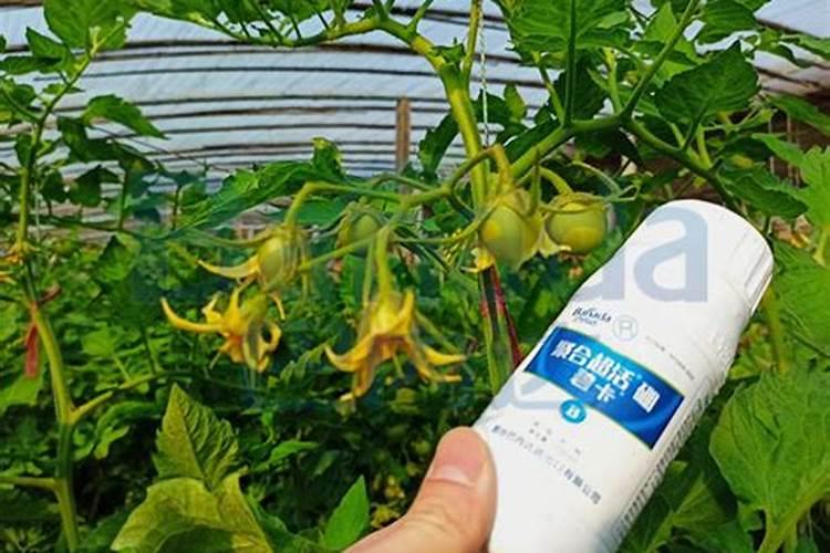 硼肥有膨果作用吗 硼肥是什么肥料