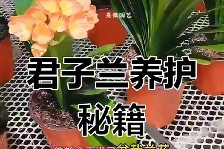 氮肥,磷肥,钾肥分别起什么作用