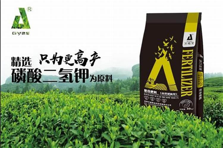 油茶树可以施复合肥吗