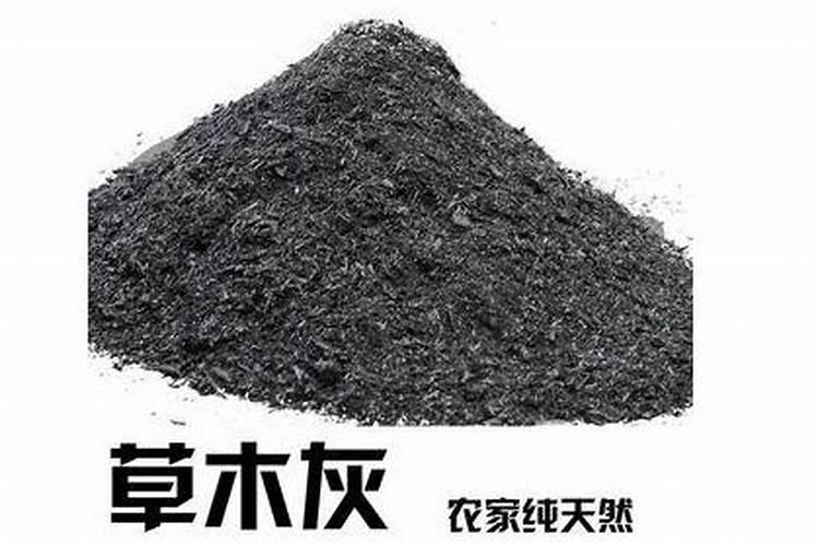 草木灰是什么肥