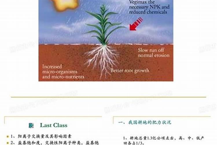 如何使土壤肥沃