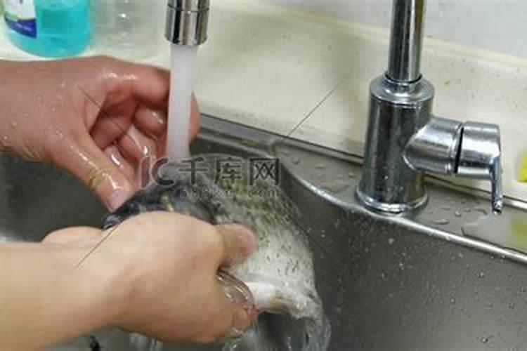 洗鱼水可以直接浇花吗 洗鱼水可以直接浇花吗